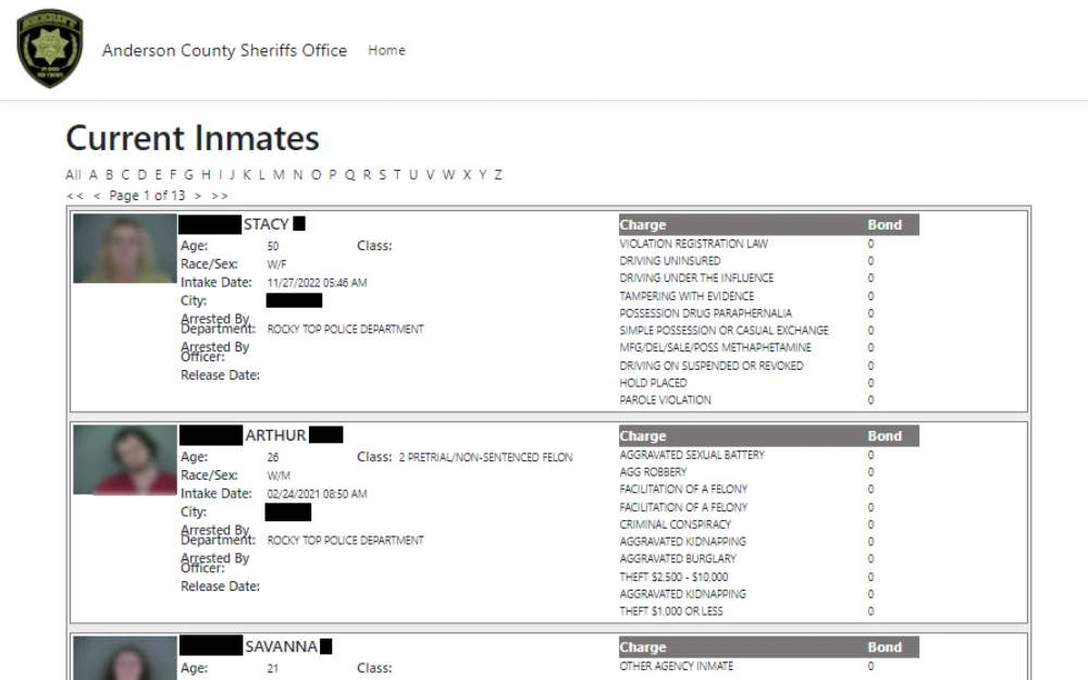 A screenshot of the Anderson County Online Inmate Database showing blurred mugshots of inmates and details of arrest including full name, age, race and charge information; results are sorted alphabetically.