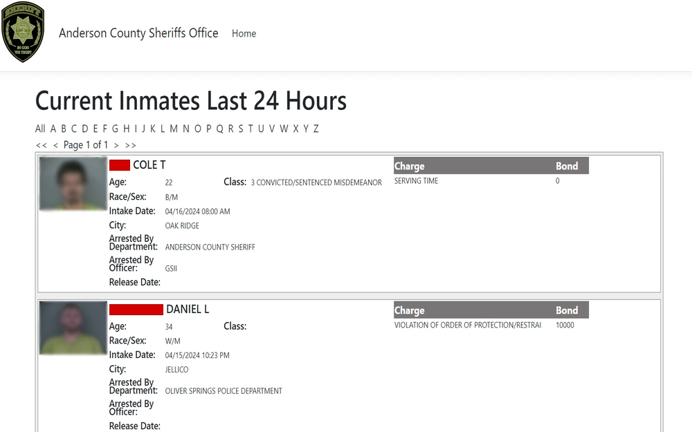 A screenshot from the Anderson County Sheriff’s Office displaying a section titled "Current Inmates Last 24 Hours," including photographs of individuals, their age, race/sex, class of conviction, intake date and time, the city where arrested, the arresting department and officer, the specific charge, and the set bond amount.